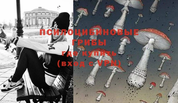 Альфа ПВП Сатка