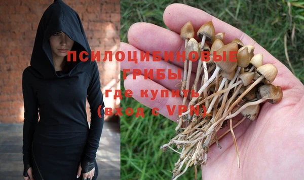 альфа пвп Саяногорск