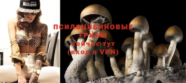 альфа пвп Саяногорск