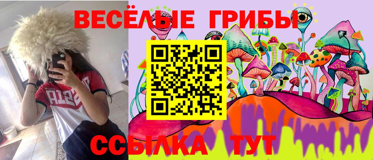 Солнечногорск  Псилоцибиновые грибы Psilocybe  Вход с VPN 